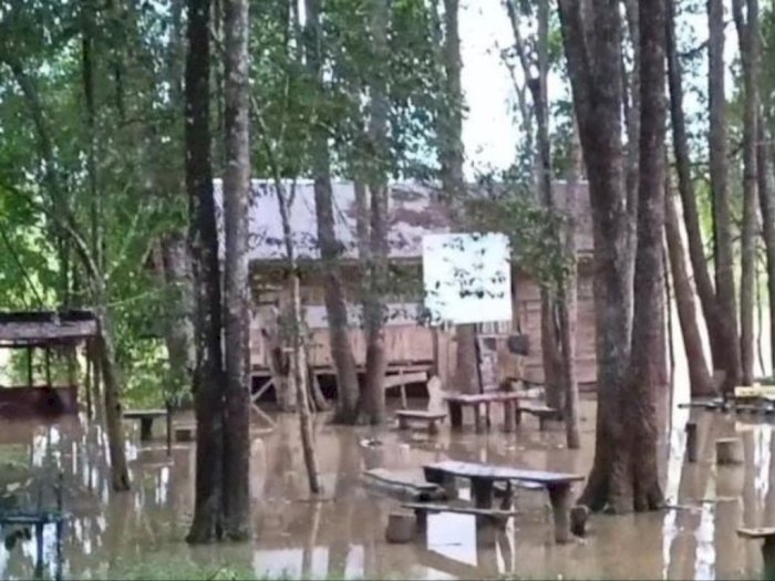 5 Kecamatan di Jambi Tergenang Luapan Sungai Batanghari, Warga Diminta Waspada Banjir