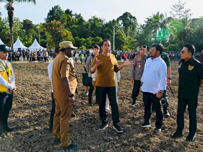 Presiden Jokowi di Papua, Kick Off Food Estate Siapkan Lahan Jagung 10 Ribu Hektare
