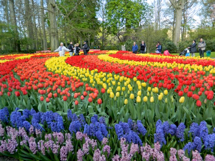 Keukenhof, Taman yang Suguhkan Pemandangan Bunga Tulip Terindah di Dunia