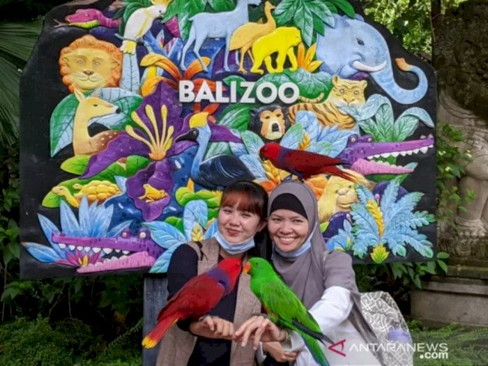 Hore! Kebun Binatang Bali Berikan Diskon di Hari Libur Nyepi