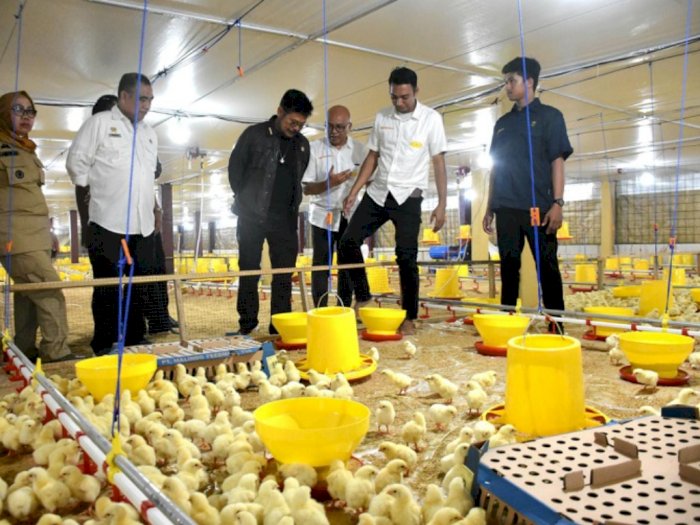 Mentan SYL Terapkan Role Model Penerapan Sistem Hulu-Hilir Ayam Broiler di Gowa