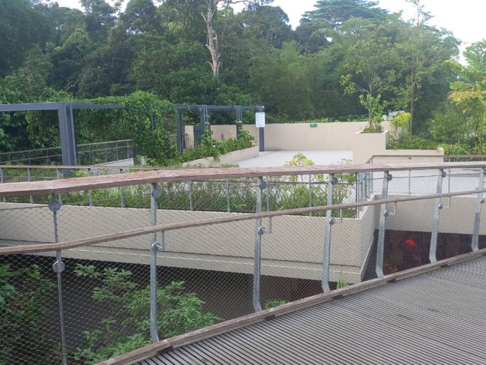Rifle Range Nature Park, Wisata Alami yang Langsung Berhubungan sama Bukit Timah Singapura