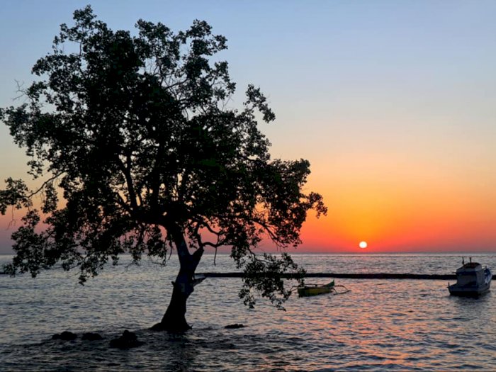 Berburu Sunrise di Pantai Mali, View Perahu dan Pohon Jomblo Bikin Gak Mau Pulang