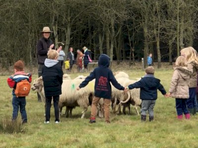 Melihat Peringatan Hari Memeluk Anak Domba di Prinsen Park Negara Belgia