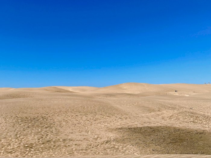 Menjelajahi Keindahan 'Gurun Sahara dari Eropa' di Dunas de Maspalomas, Spanyol