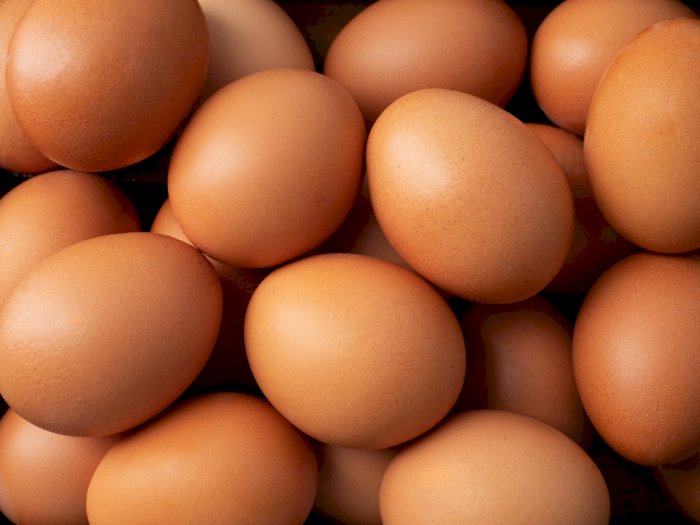 Heboh Telur Diklaim Bisa Sebabkan Serangan Jantung dan Stroke, Benarkah?