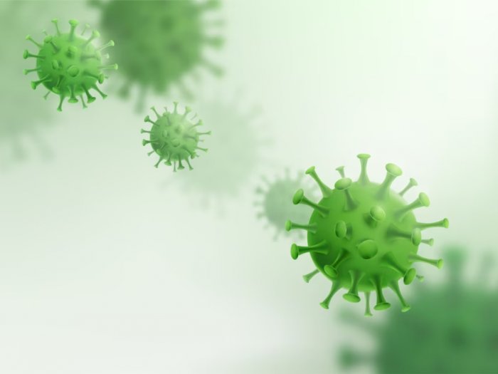 Virus Marburg Tewaskan 27 Jiwa di Afrika, Akankah Menyebar ke Indonesia?