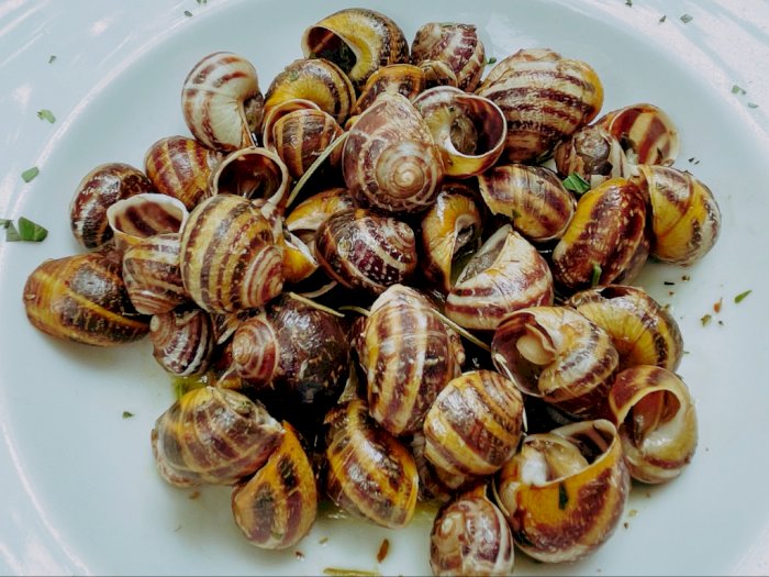 Mencicipi Kelezatan Escargot, Hidangan Siput Khas Prancis di Restoran Remezzo