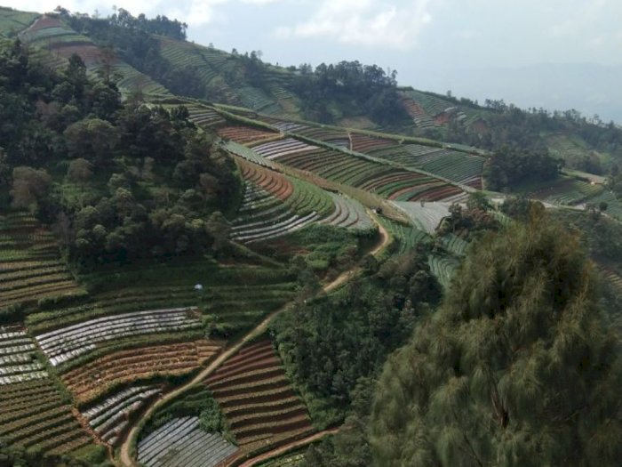Asyiknya Berkunjung ke Nepal Van Java, Serasa Lagi di Negeri Awan