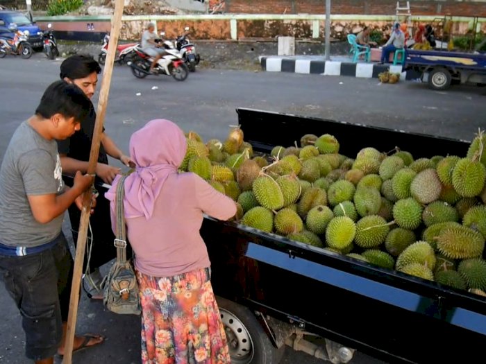 Lagi Musim, Lapak Durian di Parepare Diserbu Warga Menjelang Buka Puasa