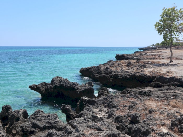 Melihat Indahnya Pantai Kelapa Satu di Kupang NTT, Jajaran Batuan Karang Nan Eksotik
