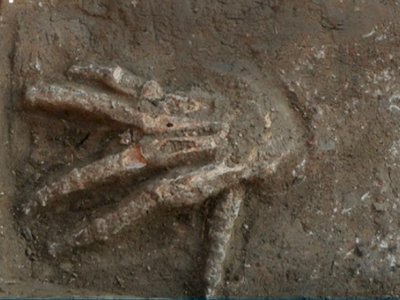 Geger Temuan Selusin Potongan Tangan di Istana Mesir Kuno, Konon Sisa Ritual Mengerikan