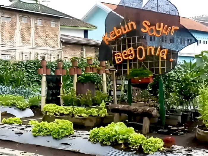Kebun Begonia Lembang, Spot Instagramable yang Punya Program Edukasi Ramah Anak