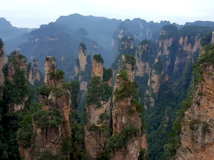 Miris! Lokasi Syuting Film Avatar di China Jadi Tempat Wisatawan Bunuh Diri Massal
