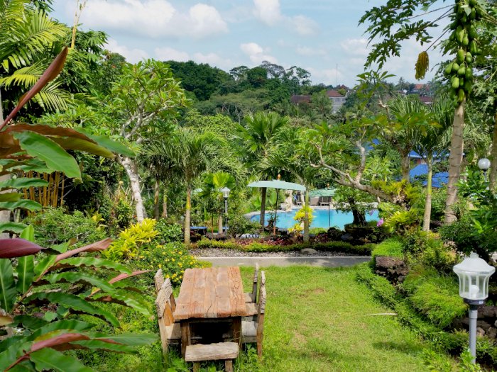 Villa Capung Mas di Ubud, Menikmati Sensasi Menginap di Tengah Sawah yang Menyejukkan