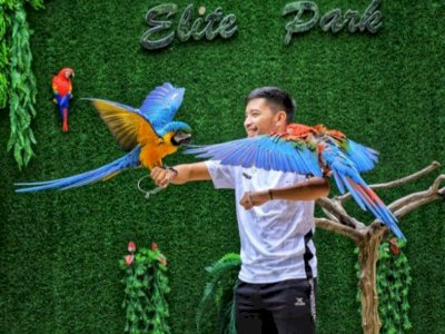 Asiknya Wisata Edukatif di Kebun Bintaang Elite Park, Bisa Berfoto Bareng dengan Satwa