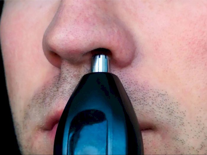 5 Bahaya Mencabut Bulu Hidung, Salah Satunya Bisa Sebabkan Infeksi Otak