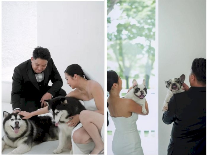 Calon Pengantin Ini Prewedding dengan Puluhan Anjing, Bagaimana Hasilnya?