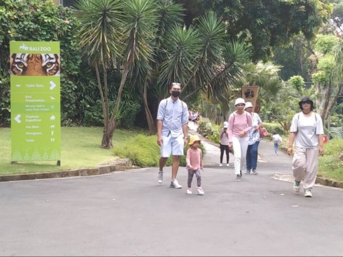 Antisipasi Lonjakan Pengunjung saat Libur Lebaran, Bali Zoo Gercep Tambah Loket Tiket