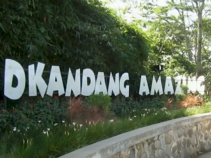 D'Kandang Amazing Farm,Tempat Wisata Edukasi Keluarga dengan Konsep 'Back To Nature'