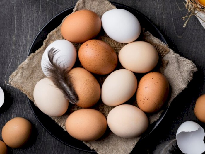 Sering Jadi Stok Bahan Makanan, Ini Cara Menyimpan Telur di Rumah Biar Tetap Fresh