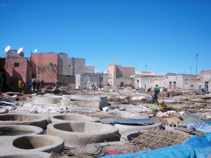 Menjelajahi Tanneries Marrakesh, Tempat Pembuatan Kulit yang Penuh Sejarah
