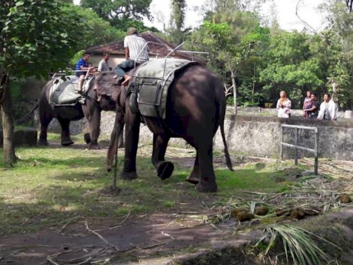 Taman Gembira Loka, Destinasi Wisata Bersama Keluarga yang Paling Hits di Yogyakarta