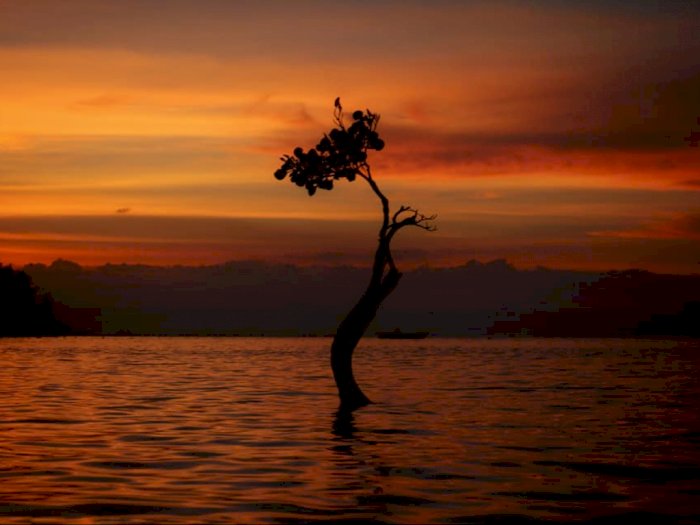 Pantai Walakiri, Spot Paling Cocok untuk Menikmati Sunset di Sumba Timur