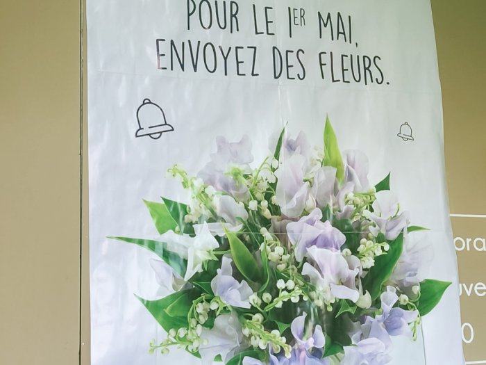 Fakta Menarik di Balik 'Lily of The Valley', Bunga Simbol Hari Buruh di Prancis