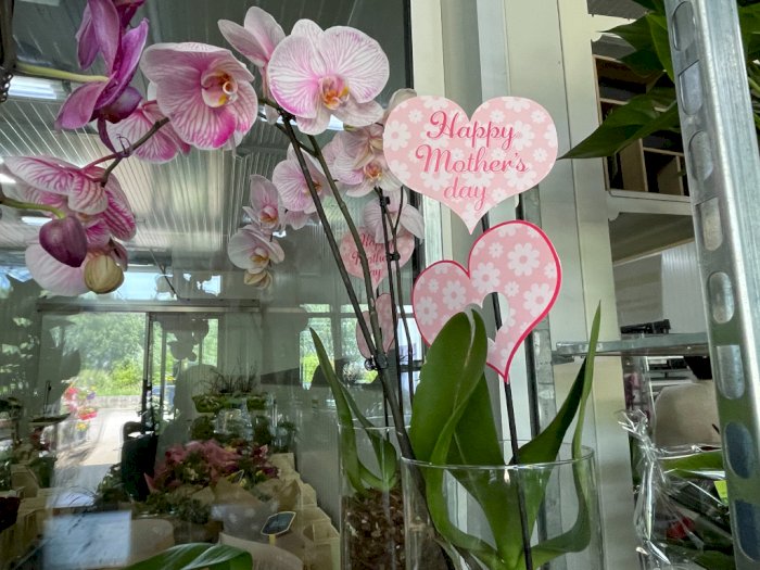 Toko Bunga di Belgia Alami Peningkatan Permintaan 50 Persen pada Perayaan Hari Ibu