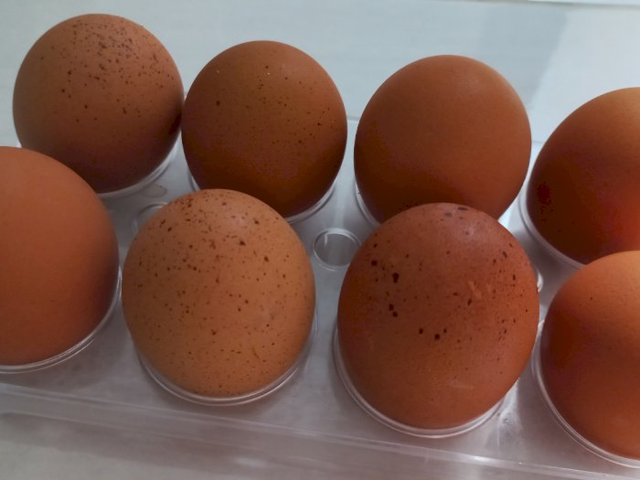 Bolehkah Cuma Makan Telur Setiap Hari untuk Penuhi Protein? Ini Jawaban Ahli Gizi