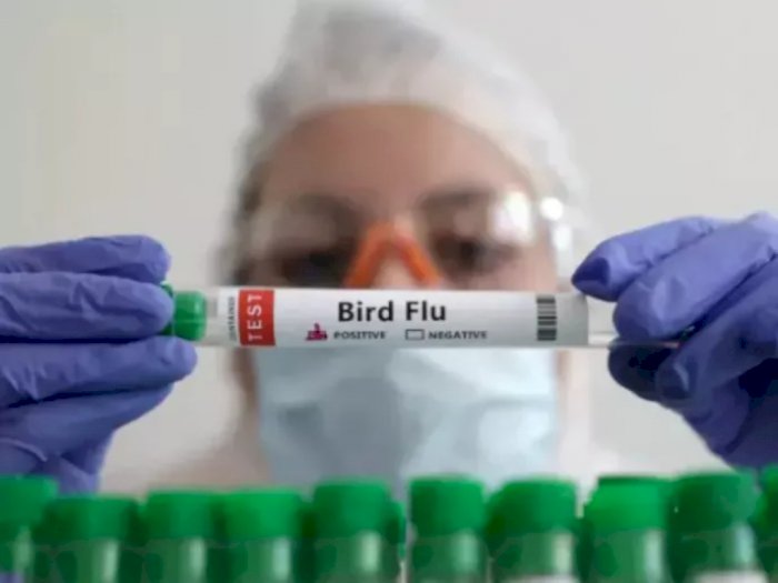Inggris Temukan Dua Orang Terinfeksi Flu Burung