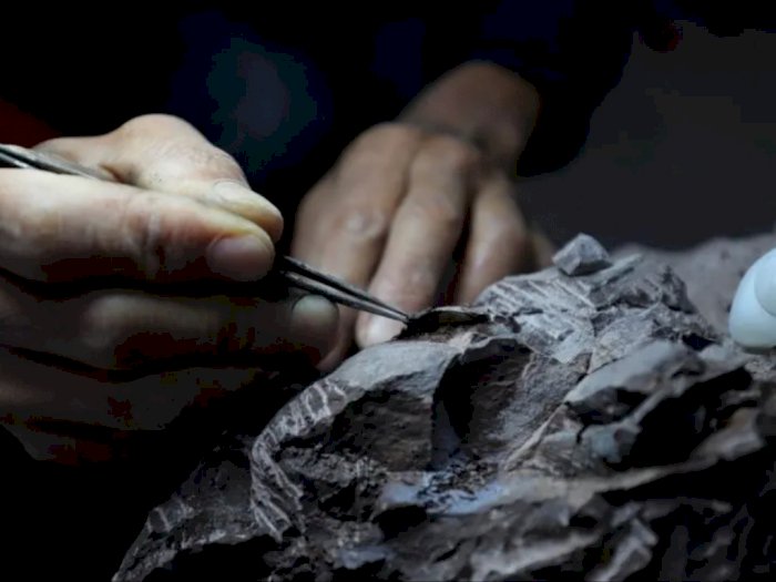 Peneliti Temukan Fosil Telur Milik Dinosaurus Pencuri di China Timur