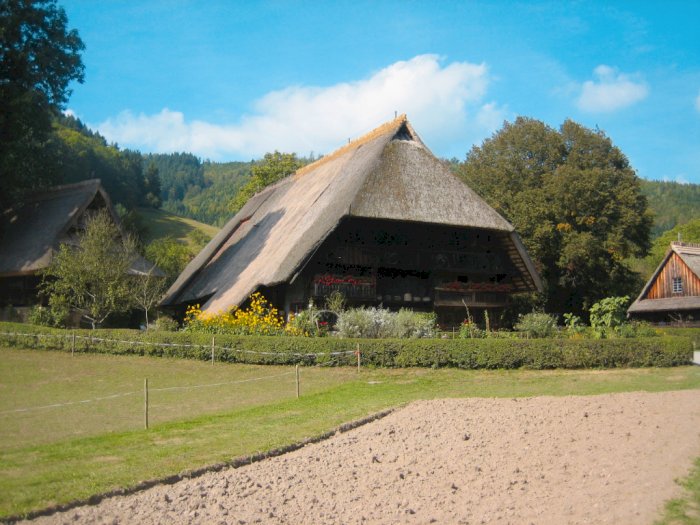 Black Forest Open Air Museum di Jerman: Intip Kehidupan di Abad ke-16 hingga ke-19