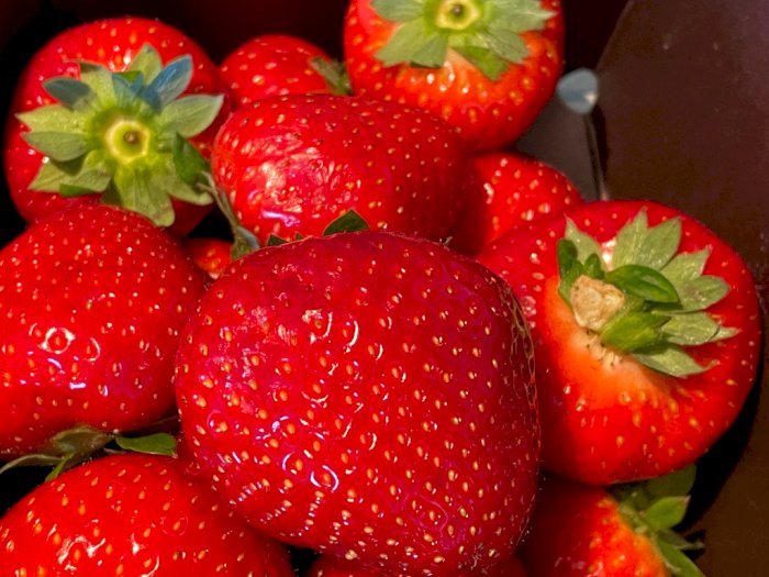 Kelezatan Strawberry Khas Belgia: Ungkap Rahasia Keberhasilan Produsen Terbaik di Dunia