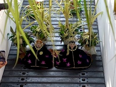 Ritual Manten Tebu, Tradisi Unik Tandai Buka Giling Pabrik Gula Modjopanggung Tulungagung