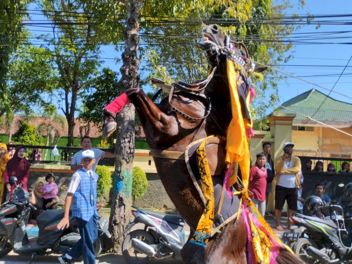 Menyaksikan Aksi Atraktif Ratusan Kuda dalam Festival Jaran Serek di Sumenep