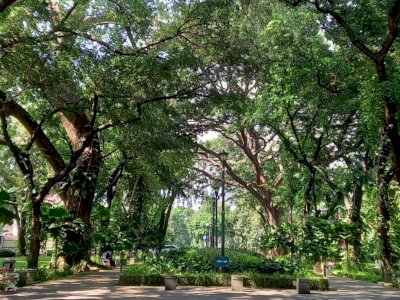 5 Hal yang Bisa Kamu Lakukan di Taman Suropati, Taman Teduh di Tengah Panasnya Jakarta