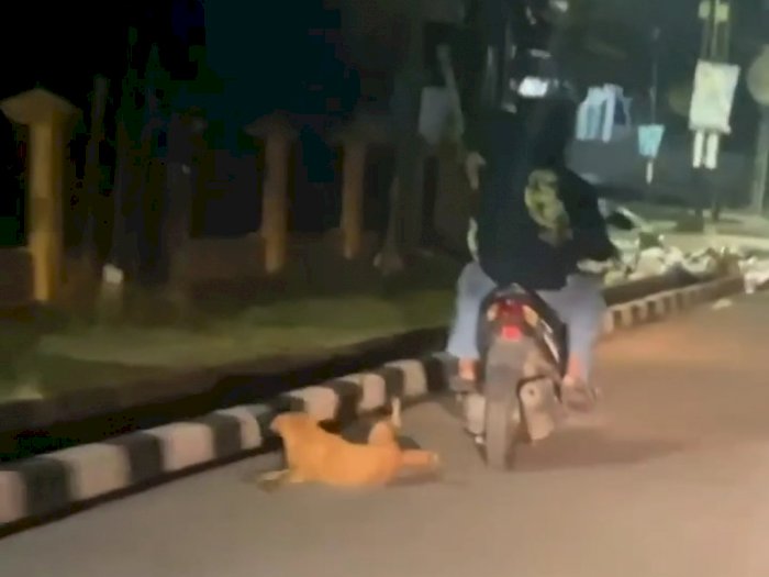 Viral! Video Dua Orang Pria Seret Anjing Pakai Motor di Jambi, Kapolresta Akan Cari Pelaku