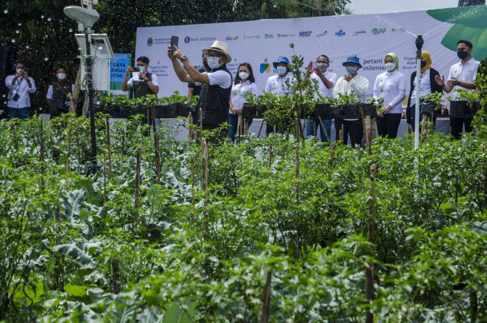 Gubernur Provinsi Jawa Barat Ridwan Kamil menggunakan aplikasi pada gawai untuk bertani (ANTARA FOTO/Novrian Arbi) Gubernur Provinsi Jawa Barat Ridwan Kamil menggunakan aplikasi pada gawai untuk bertani (ANTARA FOTO/Novrian Arbi)