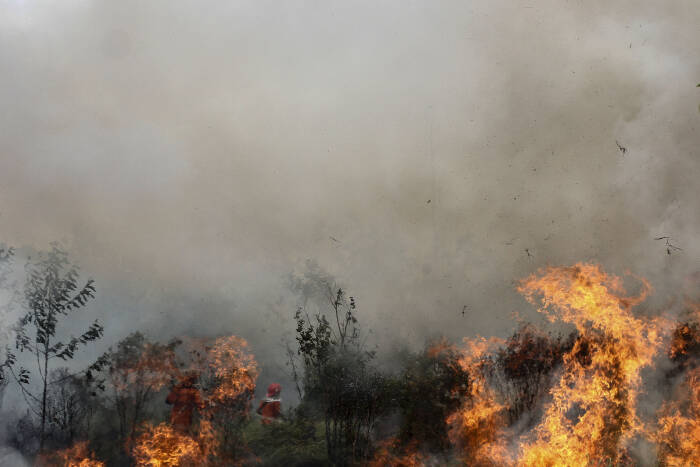 ANTARA FOTO/Rony Muharrman Satgas Kebakaran Hutan dan Lahan (Karhutla) Riau yang terdiri dari petugas Manggala Agni Daops Pekanbaru, BPBD Pekanbaru, Masyarakat Peduli Api dan TNI Polri berusaha memadamkan api yang membakar lahan