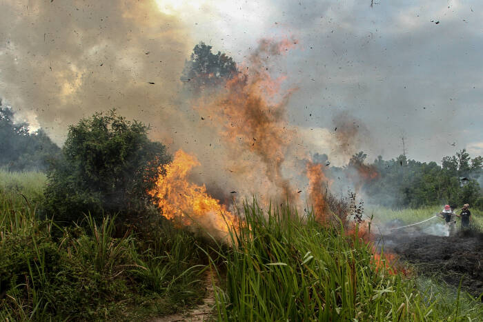 ANTARA FOTO/Rony Muharrman Satgas Kebakaran Hutan dan Lahan (Karhutla) Riau yang terdiri dari petugas Manggala Agni Daops Pekanbaru, BPBD Pekanbaru, Masyarakat Peduli Api dan TNI Polri berusaha memadamkan api yang membakar lahan