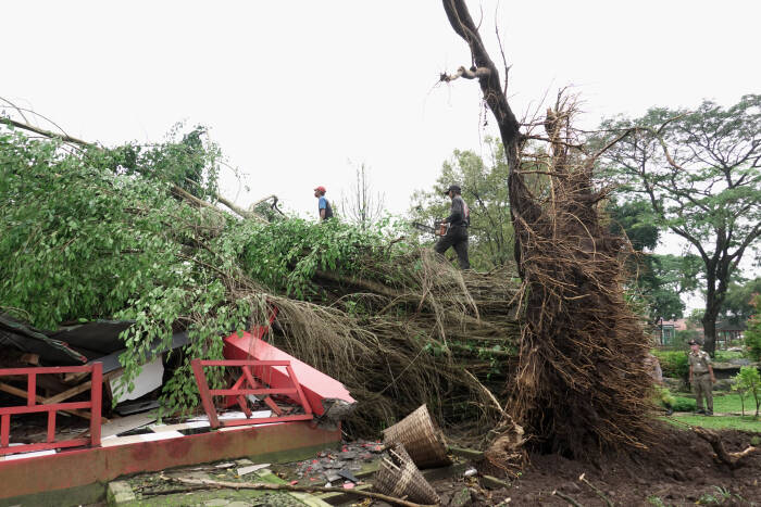 Petugas memotong pohon beringin yang roboh dan menimpa bangunan (ANTARA FOTO/Idhad Zakaria) Petugas memotong pohon beringin yang roboh dan menimpa bangunan (ANTARA FOTO/Idhad Zakaria)