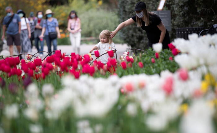 REUTERS/Mario Anzuoni Seorang anak sedang melihat bunga tulip di Taman Descanso di La Canada Flintridge