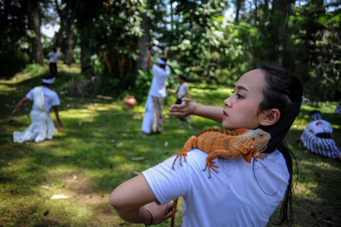ANTARA FOTO/Raisan Al Farisi Sejumlah penari menampilkan tarian teatrikal tentang alam pada peringatan Hari Bumi di Taman Hutan Raya Juanda