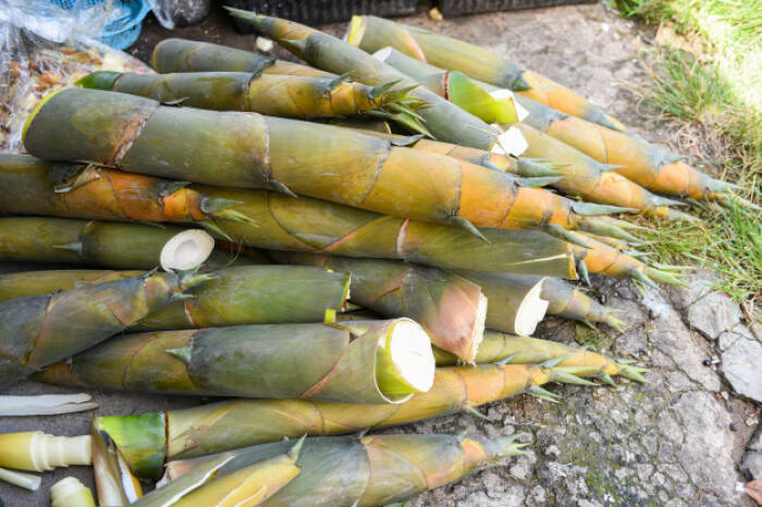 Rebung, makanan yang mengandung sianida alami (photo/freepik/poringdown) makanan yang mengandung sianida alami
