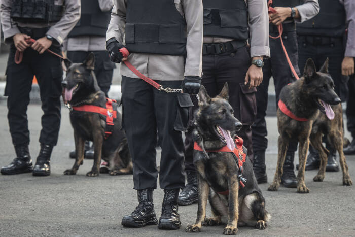 Personel Unit Satwa K-9 Polda Metro Jaya mengikuti apel Gelar Pasukan Operasi Ketupat Jaya 2021 (ANTARA FOTO/Aprillio Akbar) Personel Unit Satwa K-9 Polda Metro Jaya mengikuti apel Gelar Pasukan Operasi Ketupat Jaya 2021
