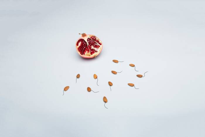 (Photo/Ilustrasi/Pexels) sperma