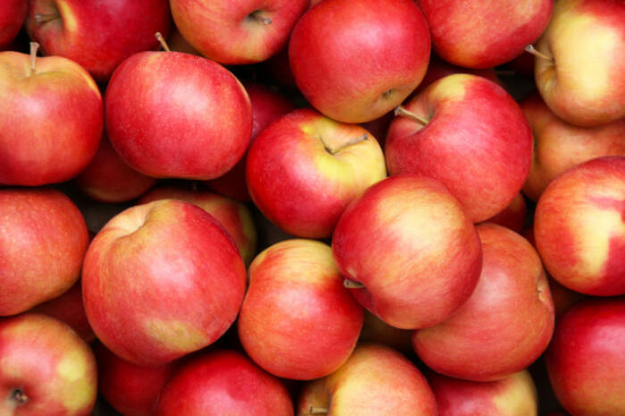 Buah untuk menurunkan kolesterol (photo/freepik/user12952888) buah untuk menurunkan kolesterol