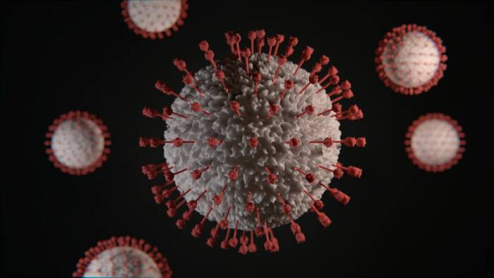 B1351 virus corona varian baru (photo/unsplash/@sonance) virus corona varian baru
